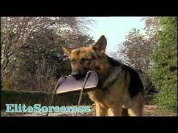 Inspector Rex Aka Komissar Rex Music Video A Good Friend Moser And Rex Best Friends Rex Music Videos