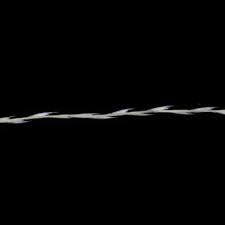 Image result for Trichoneura grandiglumis