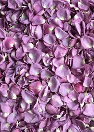 Biodegradable Freeze Dried Rose Petals In Lavender Purple Br 8 Cups 1 2 5 Rose Petal Diame Freeze Dried Rose Petals Rose Petals Wedding Dried Rose Petals