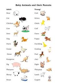 Male Female Young Animals In English Eslbuzz Learning English Baby Animal Names Young Ones Of Animals Young Animal