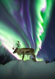 Aurora Observatory Northern Lights Nightscape Aurora Borealis