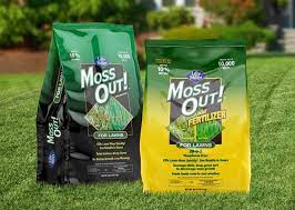 How To Get Rid Of Lawn Moss Lawn Care Tips Lawn Care Companies Lawn Care