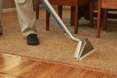 Image result for does steam cleaning remove carpet dents