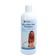 768 likes · 5 talking about this. Micochlor Plus Antibacterial Antifungal Shampoo For Dogs And Cats Free 2 Day Shipping Walmartpetrx Com