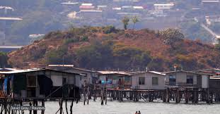 For more information, visit facebook or eventbrite. Behind Papua New Guinea S Rising Covid 19 Cases Lie Misinformation And Politics Devex