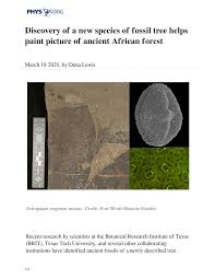 Image result for Astropanax