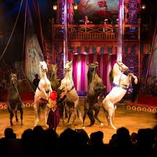 Big Apple Circus Discount Broadway Tickets Including