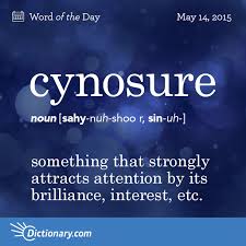 Something That Strongly Attracts Attention By Its Brilliance Interest Etc The Cynosure Of All Eyes Weird Words Unusual Words Cool Words