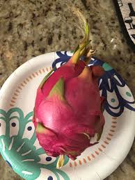 Cut the flesh into small pieces. Can Bunnies Eat Dragon Fruit Rabbits