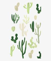 You can download any cactus wallpaper cartoon hd for your phone. Steffi Lynn Cactus Wallpaper Iphone Transparent Png 500x909 Free Download On Nicepng