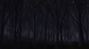 Maybe you would like to learn more about one of these? 41 1366x768 Dark Wallpaper On Wallpapersafari