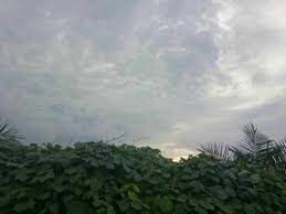 Happy rainy day images, quotes and captions a rainy day is the perfect time for a walk in the woods. Cloudy Does Not Mean Rain Steemkr