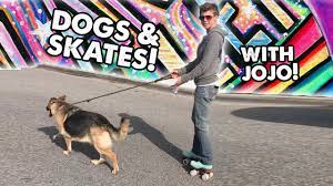 More images for rollerblading with dogs » Roller Skating Or Skateboarding With The Dog Dogbible