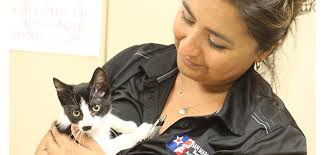 Do i leave my pet in a foreclosed house? Buda Oks Resolution For No Kill Animal Shelter