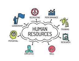 Good Human Resource Management Hrm Is Essential For Businesses Of All Sizes In This Article In 2020 Human Resources Human Resources Quotes Human Resource Management