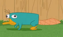 All music archive download, free mp3. Perry The Platypus Wikipedia