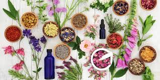 The Power of Herbal Remedies: 10 Herbs You Should Know | Savvy Rest