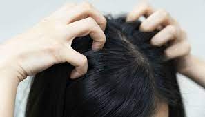 Are You Taking Care Of Your Scalp Correctly Short Hair Styles Healthy Dinner Recipes Easy Easy Updos
