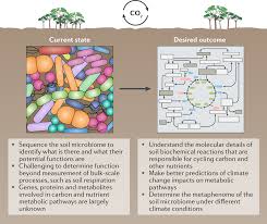 Maybe you would like to learn more about one of these? Soil Microbiomes And Climate Change Nature Reviews Microbiology