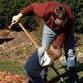 WAG Garden Work Day  — West Andersonville event image