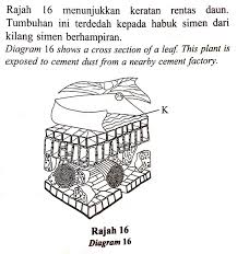Text of rekabentuk keratan rentas lebuhraya. Spm Biology Leaf Structure And Function Question Why D Is Not The Answer Spm Skora