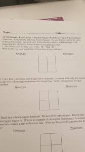 The possible combinations you could get would. Solved Name Date Suno Genetics L Chegg Com