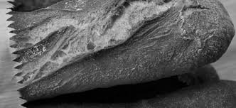 Order online for pick up or delivery near you and join chipotle rewards today. Panera Bread Princeton 510 Nassau Park Blvd