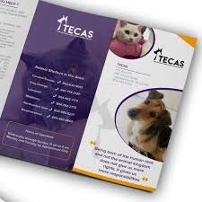 Po box 55, 7700 us route 9n elizabethtown, ny 12932 t: Animal Shelter Brochure Animal Hd Wallpapers
