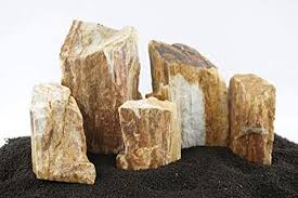 Amazon Com Aquarium Rock In 2020 Aquarium Rocks Aquarium Rock