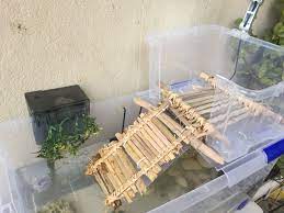 Basking Area Homemade Turtle Habitat Turtle Tank Pet Turtle