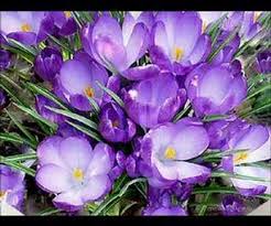 Cadouri de 8 martie superbe ( cadouri personalizate pentru ziua mamei). 8 Martie Ziua Femeii Youtube