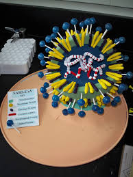 Maqueta Maquetas De Celulas Maquetas Rutas Metabolicas