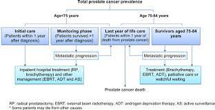 Nearly 2 million american adults each year are diagnosed with cancer. Phase Of Care Prevalence For Prostate Cancer In New South Wales Australia A Population Based Modelling Study