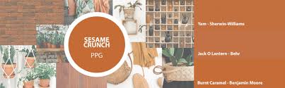 Shop the largest and washington state homeowners favorite benjamin moore® color collection. Bright Boho Bedroom Palette Chip Colour Tools Paint Colour Matching