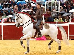 Y santiago, quien debutó en 2014, recibió la alternativa del 2. Al Toro Mexico Paco Velasquez Se Estrena A Caballo En Mexico Al Toro Mexico Medio De Comunicacion Taurino Toros Toreros Noticias Y Actualidad Taurinas