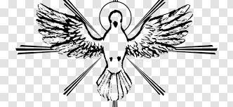 They complete and perfect the virtues of those who receive them. Seven Gifts Of The Holy Spirit Catechism Catholic Church Doves As Symbols God Father Pentecost Transparent
