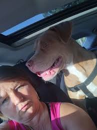 Male, born 9/24/24. He will escape, so make sure your cage is secure at all  times. Just him, no cage. Fifty..