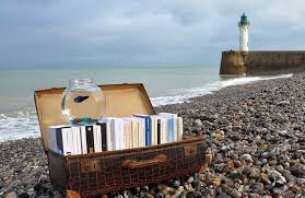 Resultat d'imatges de llibres