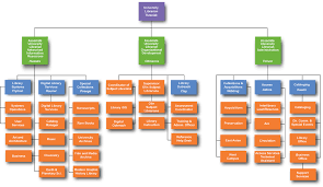 Organization Chart University Libraries Organization Chart Library Organization Org Chart