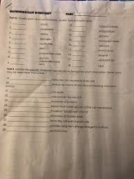 Cie igcse chemistry exam revision with questions and model answers for macromolecules multiple choice. Solved Macromolecules Worksheet Name Part A Classify Ea Chegg Com