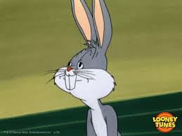 It was a really good clean. Rabbit Bugs Gifs Tenor