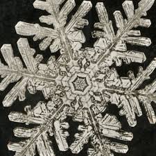 How History S First Photos Of Snowflakes Were Made Cnn Style And while the tiny crystalline sculptures appear too perfect to believe, the dedicated photographer is able provide detailed instructions in both english and russian for artists who wish to replicate his process. photos of snowflakes were