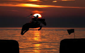 Shivaji maharaj hd wallpapers desktop background beautiful hd wallpaper: Horse Racing Hd Wallpaper Sports Wallpaper Better