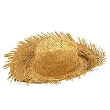 Teds Woodworking 16 000 Woodworking Plans Projects With Videos Custom Carpentry Straw Hat Beach Straw Hat Costume Hats