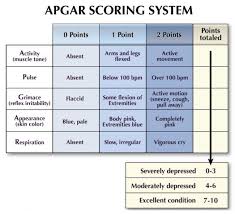 apgar table newbornexam thirdstage pediatric nursing