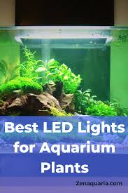 The short answer is yes, aquarium plants need special lighting. Best Led Lights For Aquarium Plants Fish Tank Lights Planted Aquarium Fish Tank