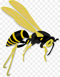 See more ideas about bee pest control, bee, pest control. Busy Bee Png Images Pngwing