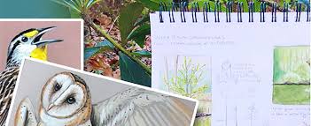 Liz clayton fuller is on facebook. Tennessee Naturalist Program