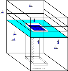 Wajibkah Kolam Renang Pada Setaip Rumah Walet Burung Walet Kalimantan