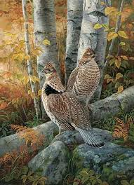 Rosemary Millette Prints Wild Wings Wildlife Art Wildlife Paintings Hunting Art